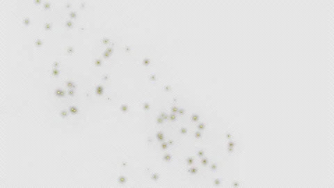 Gold Confetti Explosion Animation on a transparent background. Alpha channel. Stock Footage 260124475