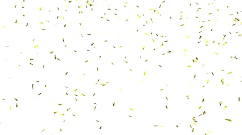 Gold Confetti on White, alpha matte.  Loop Stock Footage 58286799