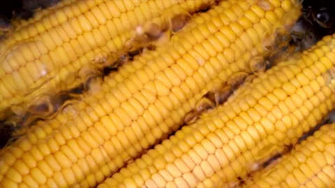 Gold corn in pot with boiling water Stock Footage 157049073