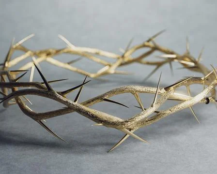 Gold Crown Of Thorns Stock Illustration
