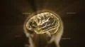 gold crystal brain and head timecode Illustration