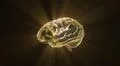gold crystal brain still render Illustration