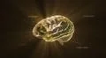gold crystal brain timecode Illustration
