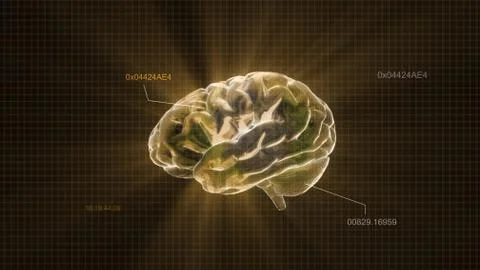 Gold crystal brain timecode Stock Illustration
