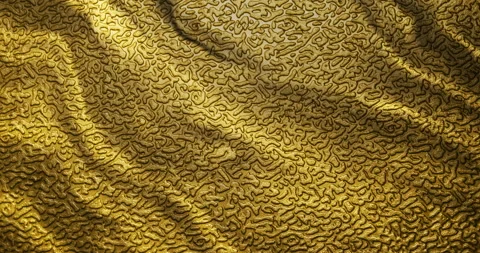 Gold damask background with smooth waving motion 動画素材 332656406