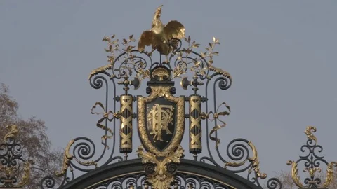 Gold decoration at the Elysée Palace Stock Footage 76272237