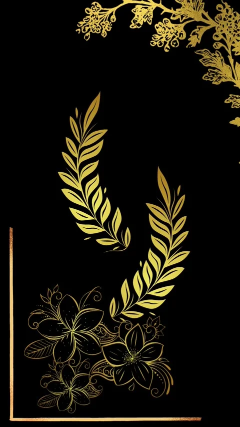 Gold Design With Black Background Stock Footage 240308043