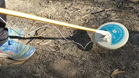 Gold Detecting a Coin Stock Footage 245136365