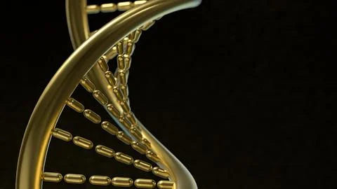 The Gold Dna in black background  for sci or medical concept 3d rendering. Illustrazione stock