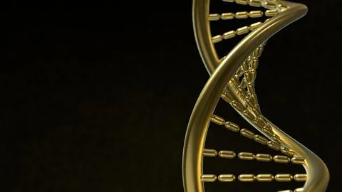 The Gold Dna in black background  for sci or medical concept 3d rendering. 库存插图