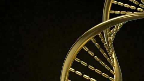 The Gold Dna in black background  for sci or medical concept 3d rendering. Illustrazione stock