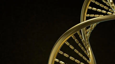 The Gold Dna in black background  for sci or medical concept 3d rendering. Stock Photos