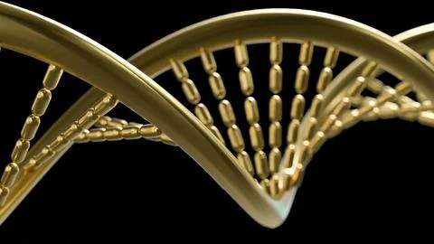 The Gold Dna in black background  for sci or medical concept 3d rendering. Stock Photos