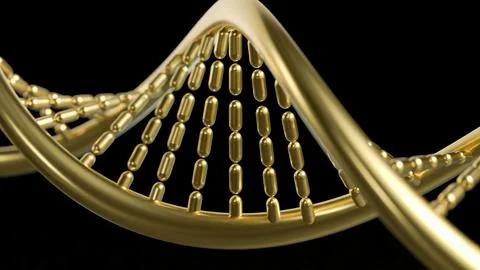 The Gold Dna in black background  for sci or medical concept 3d rendering. Stock Photos