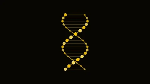 Gold DNA Double Helix Rotate Medical Animation Loop Vídeo Stock 342610778