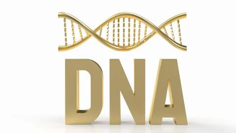 The Gold dna on white Background for sci or medical concept 3d rendering Stock Illustration