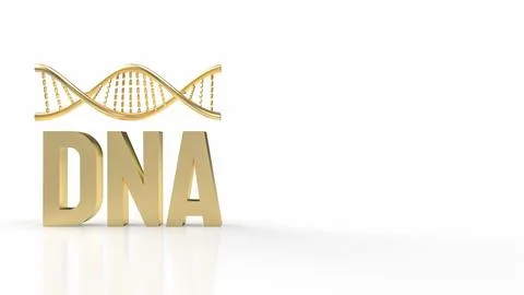 The Gold dna on white Background for sci or medical concept 3d rendering 스톡 일러스트