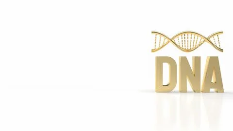 The Gold dna on white Background for sci or medical concept 3d rendering Stock Illustration