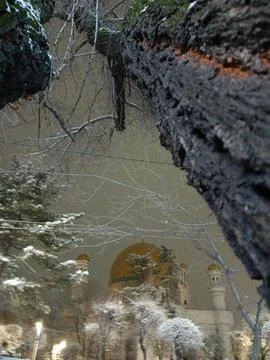 Gold dome of Central Mosque behind winter snow on trees Stock Photos