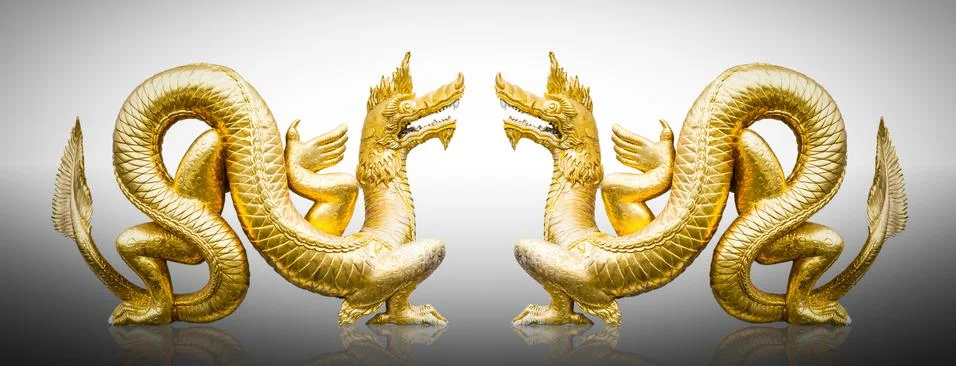 Gold dragons isolated on white Stock Photos