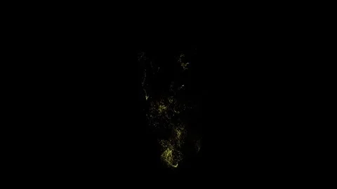 Gold Drips - Set of 5 - Part 2 Stock Footage 311535615