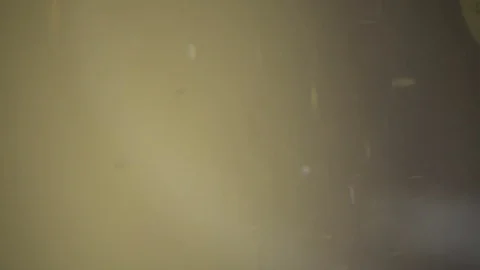 Gold Dust Particles Stock Footage 74679782