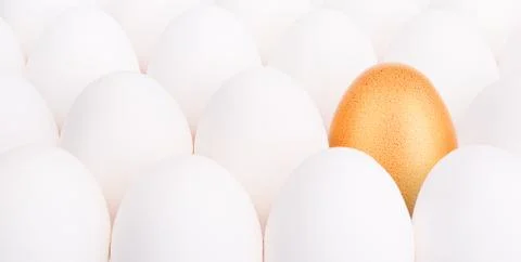 Gold Easter egg between many white eggs Stock Photos
