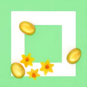 Gold Easter Eggs and Narcissus Flower Background Border Stock Illustration