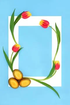 Gold Easter Eggs and Tulip Flower Background Border Frame Stock Photos
