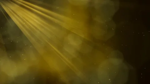 Gold Etched Light Looping Animation Stock Footage 73372892
