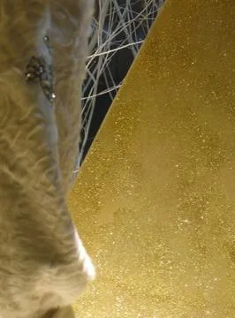 Gold fabric background Stock-Fotos