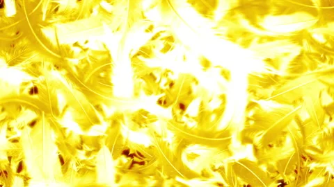 Gold feather particle glow loop animation Stock Footage 146576137