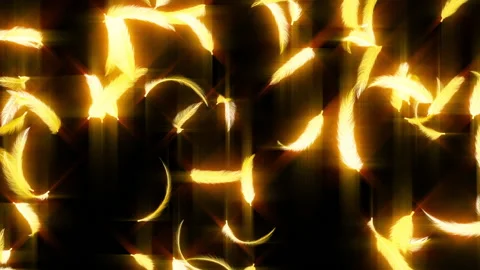 Gold feather particle glow loop animation Vídeos de archivo 146576504
