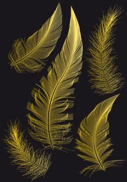 Gold feathers, vector drawings Stock Illustration