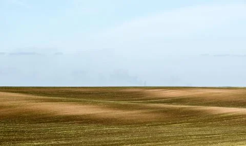 Gold field 스톡 사진