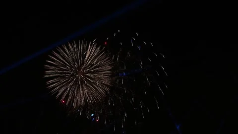 Gold Firework Burst With Fine Trails Against Dark Night Sky Stock Footage 343625489