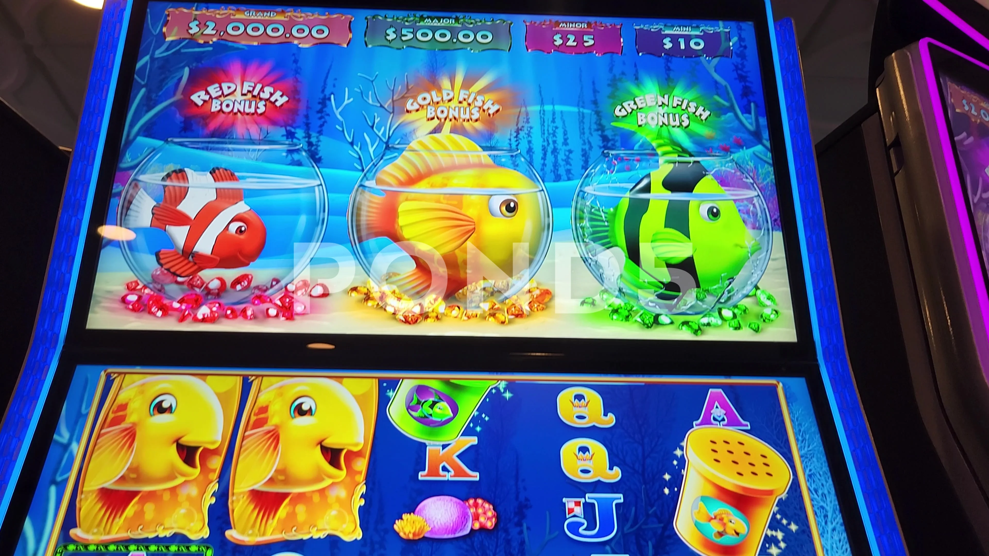 Gold Fish Feeding Time Slot Machine Casino Game