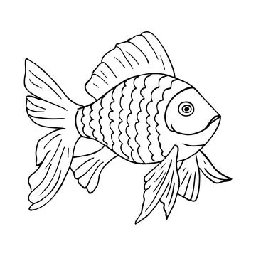 Gold Fish hand-drawn Isolated on White Background. Ocean, sea fish. Stock Illustration