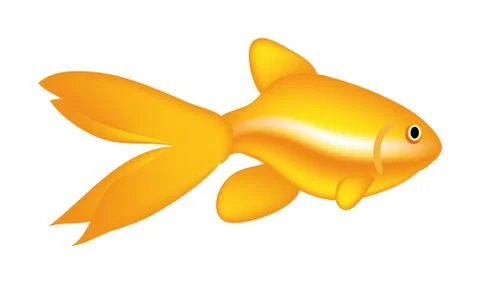Gold fish Stock Illustration