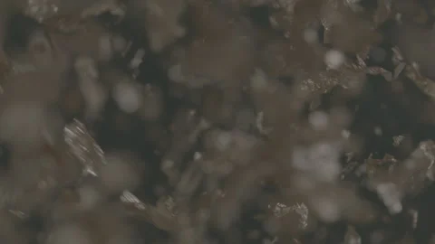 Gold flake floating in water Stock Footage 260341912