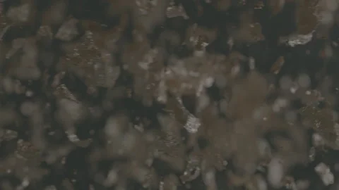 Gold flake floating in water Stock Footage 260342789