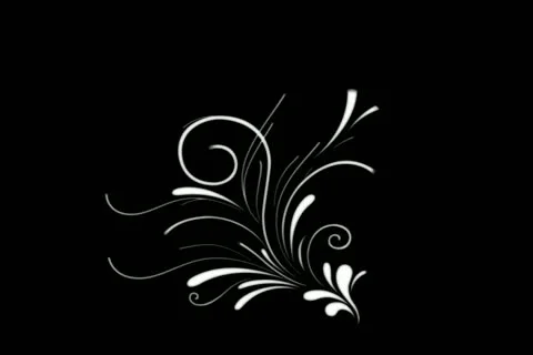 Gold Flourish Motion Design Element 01 Stock Footage 10875040