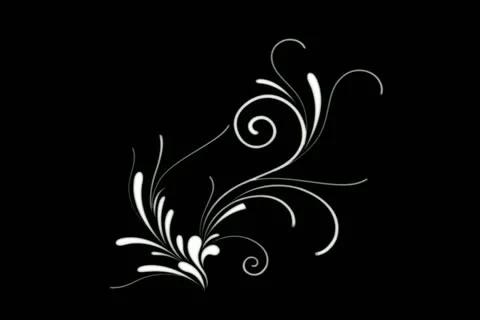 Gold Flourish Motion Design Element 02 Stock Footage 10875041