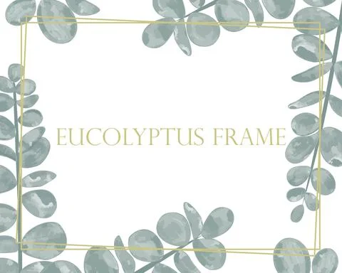 Gold frame with eucalyptus, vector illustration. Illustrazione stock