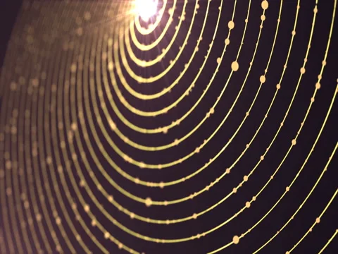Gold Glitter Background. 库存影片 69962749