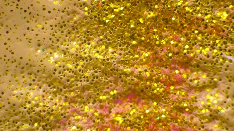 Gold Glitter Background Stock-Footage 169434880
