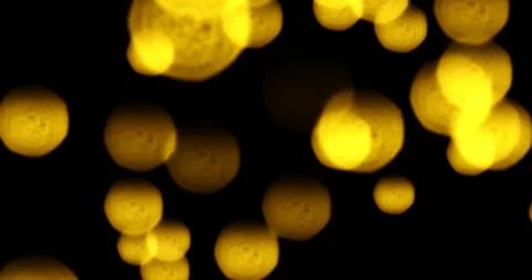 Gold glow glittering particles bokeh tail transition sparkle effect on black Stock Footage 252182461