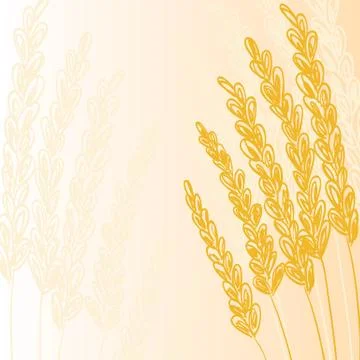 Gold grain background Stock-Illustration
