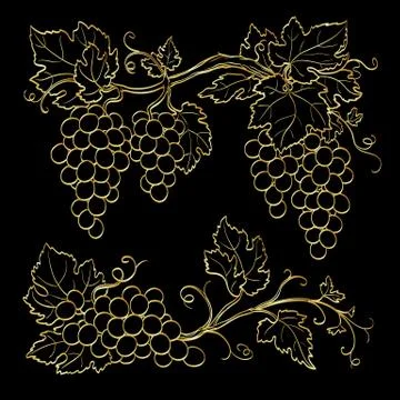 Gold grape branches Stock-Illustration