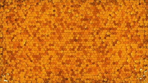 Gold Hexagon Geometric Surface Background Stock Footage 113762896